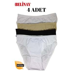 Belinay 4 Lü Paket Modal Bayan Slip Külot 068 - Belinay - Atlet & Külot - Karışık - S