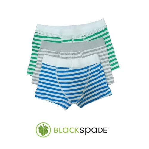 Blackspade Kampanyalı Erkek Çocuk Çizgili Pamuk Boxer